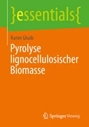 Cover Pyrolyse lignocellulosehaltiger Biomasse