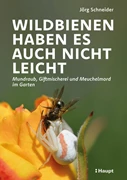 Cover Wildbienen haben es auch nicht leicht