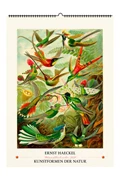 Cover Ernst Haeckel. Kunstformen der Natur. Wandkalender 2027
