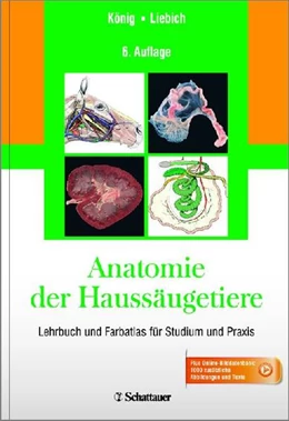 Abbildung von König / Liebich | Anatomie der Haussäugetiere | 6. Auflage | 2014 | beck-shop.de