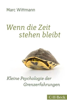 Abbildung von Wittmann, Marc | Wenn die Zeit stehen bleibt | 1. Auflage | 2015 | 6194 | beck-shop.de