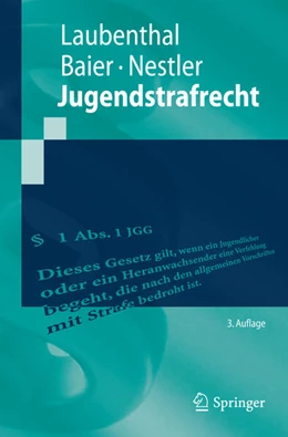 Abbildung von Laubenthal / Baier | Jugendstrafrecht | 3. Auflage | 2015 | beck-shop.de
