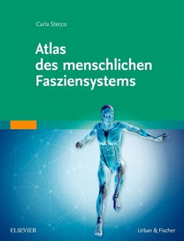 Abbildung von Stecco | Atlas des menschlichen Fasziensystems | 1. Auflage | 2016 | beck-shop.de