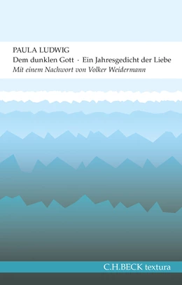 Abbildung von Ludwig | Dem dunklen Gott | 2. Auflage | 2015 | beck-shop.de