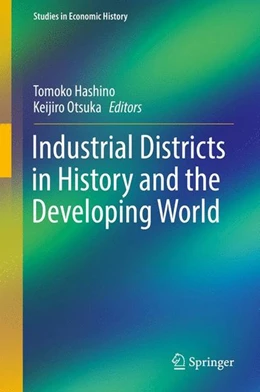 Abbildung von Hashino / Otsuka | Industrial Districts in History and the Developing World | 1. Auflage | 2016 | beck-shop.de