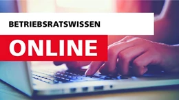 Abbildung von Däubler / Kittner | Betriebsratswissen online | 1. Auflage | | beck-shop.de