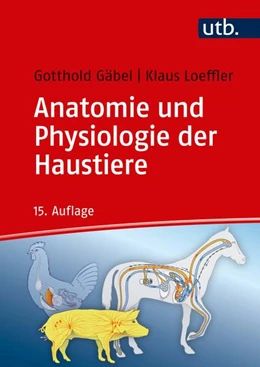 Abbildung von Loeffler / Gäbel | Anatomie und Physiologie der Haustiere | 15. Auflage | 2018 | 13 | beck-shop.de