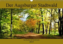 Abbildung von Baudelaire / Grasso | Sull'essenza del riso e in generale sul comico nelle arti plastiche | 1. Auflage | 2017 | beck-shop.de