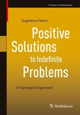 Abbildung von Feltrin | Positive Solutions to Indefinite Problems | 1. Auflage | 2018 | beck-shop.de