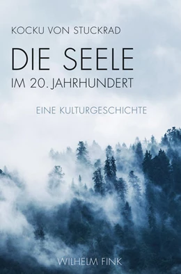 Abbildung von Stuckrad | Die Seele im 20. Jahrhundert | 1. Auflage | 2019 | beck-shop.de