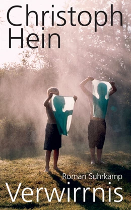 Abbildung von Hein | Verwirrnis | 1. Auflage | 2019 | beck-shop.de