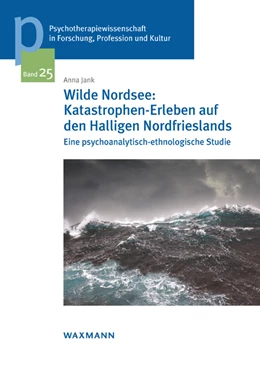 Abbildung von Jank | Wilde Nordsee: Katastrophen-Erleben auf den Halligen Nordfrieslands | 1. Auflage | 2019 | beck-shop.de