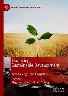 Abbildung von Ziolo / Sergi | Financing Sustainable Development | 1. Auflage | 2019 | beck-shop.de
