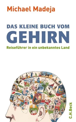 Abbildung von Madeja, Michael | Das kleine Buch vom Gehirn | 4. Auflage | 2011 | beck-shop.de