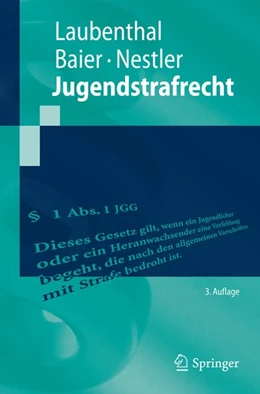 Abbildung von Laubenthal / Baier | Jugendstrafrecht | 3. Auflage | 2015 | beck-shop.de