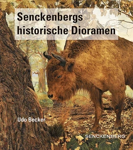 Abbildung von Becker / Scheersoi | Senckenbergs historische Dioramen | 1. Auflage | 2020 | 85 | beck-shop.de