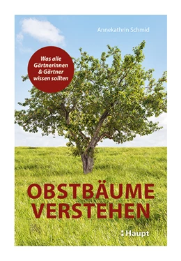 Abbildung von Schmid | Obstbäume verstehen | 1. Auflage | 2021 | beck-shop.de
