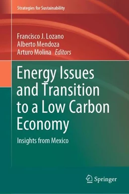 Abbildung von Lozano / Mendoza | Energy Issues and Transition to a Low Carbon Economy | 1. Auflage | 2021 | beck-shop.de