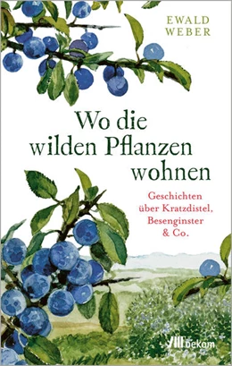 Abbildung von Weber | Wo die wilden Pflanzen wohnen | 1. Auflage | 2022 | beck-shop.de