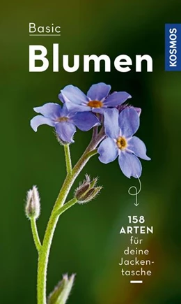 Abbildung von Dreyer | BASIC Blumen | 1. Auflage | 2022 | beck-shop.de