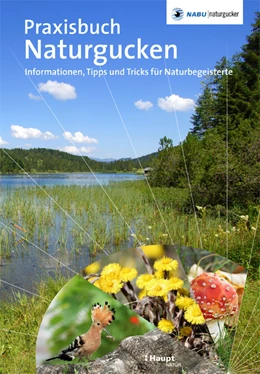 Abbildung von Munzinger / Schulemann-Maier | Praxisbuch Naturgucken | 1. Auflage | 2022 | beck-shop.de