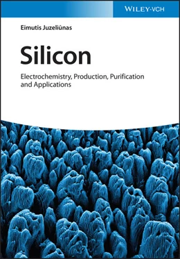 Abbildung von Juzeliunas | Silicon | 1. Auflage | 2023 | beck-shop.de