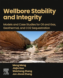 Abbildung von Meng / Gao | Wellbore Stability and Integrity | 1. Auflage | 2025 | beck-shop.de