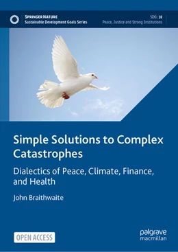 Abbildung von Braithwaite | Simple Solutions to Complex Catastrophes | 1. Auflage | 2024 | beck-shop.de
