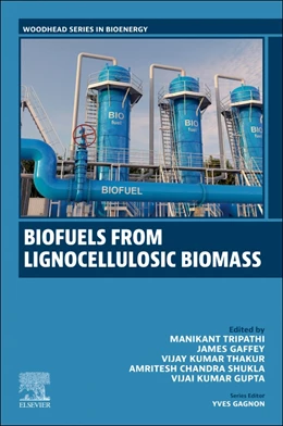 Abbildung von Tripathi / Gaffey | Biofuels from Lignocellulosic Materials | 1. Auflage | 2025 | beck-shop.de