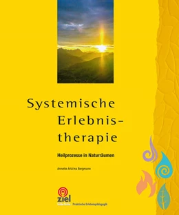 Abbildung von Bergmann | Systemische Erlebnistherapie | 1. Auflage | 2023 | beck-shop.de