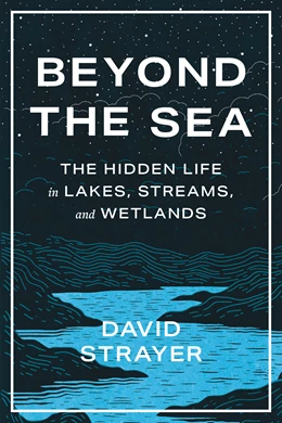 Abbildung von Strayer | Beyond the Sea | 1. Auflage | 2024 | beck-shop.de