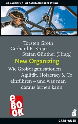 Abbildung von Groth / Krejci | New Organizing | 2. Auflage | 2025 | beck-shop.de