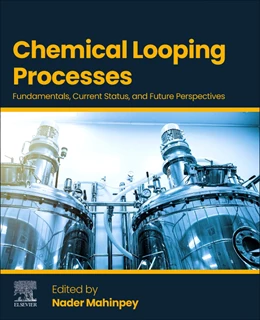 Abbildung von Mahinpey | Chemical Looping Processes | 1. Auflage | 2025 | beck-shop.de