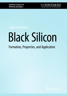 Abbildung von Ayvazyan | Black Silicon | 1. Auflage | 2025 | beck-shop.de