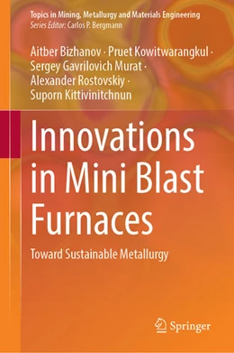 Abbildung von Bizhanov / Kowitwarangkul | Innovations in Mini Blast Furnaces | 1. Auflage | 2025 | beck-shop.de