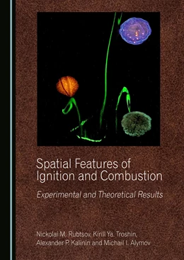 Abbildung von Rubtsov / Troshin | Spatial Features of Ignition and Combustion | 1. Auflage | 2025 | beck-shop.de
