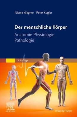 Abbildung von Wagner / Kugler | Der menschliche Körper | 5. Auflage | 2025 | beck-shop.de