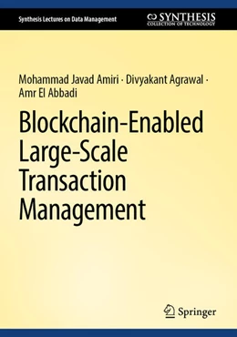 Abbildung von Amiri / Agrawal | Blockchain-Enabled Large-Scale Transaction Management | 1. Auflage | 2025 | beck-shop.de