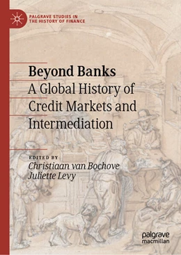 Abbildung von Bochove / Levy | Beyond Banks | 1. Auflage | 2025 | beck-shop.de