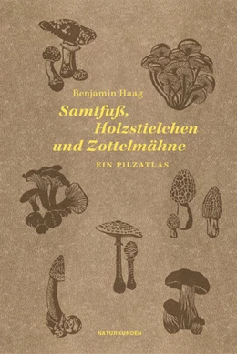 Abbildung von Haag / Schalansky | Samtfuß, Holzstielchen und Zottelmähne | 1. Auflage | 2026 | beck-shop.de