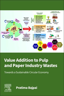Abbildung von Bajpai | Value Addition to Pulp and Paper Industry Wastes | 1. Auflage | 2025 | beck-shop.de
