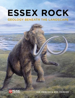 Abbildung von Mercer | Essex Rock | 1. Auflage | 2022 | beck-shop.de