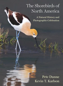 Abbildung von Dunne / Karlson | The Shorebirds of North America | 1. Auflage | 2024 | beck-shop.de