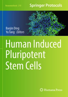 Abbildung von Ding / Tang | Human Induced Pluripotent Stem Cells | 1. Auflage | 2025 | beck-shop.de