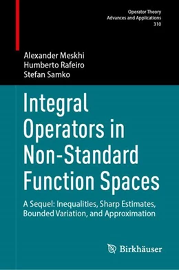 Abbildung von Meskhi / Rafeiro | Integral Operators in Non-Standard Function Spaces | 1. Auflage | 2025 | beck-shop.de