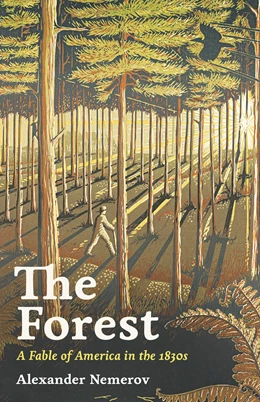 Abbildung von Nemerov | The Forest | 1. Auflage | 2023 | beck-shop.de