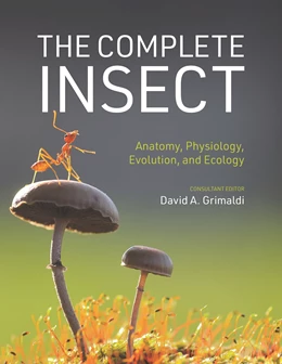 Abbildung von Grimaldi | The Complete Insect | 1. Auflage | 2023 | beck-shop.de