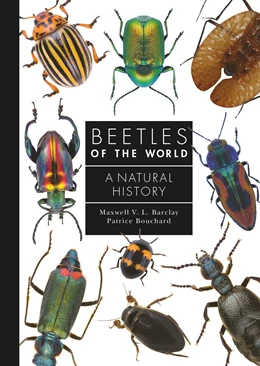Abbildung von Barclay / Bouchard | Beetles of the World | 1. Auflage | 2023 | beck-shop.de