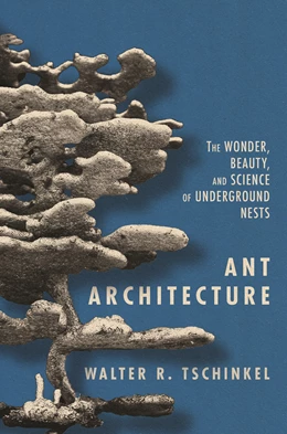 Abbildung von Tschinkel | Ant Architecture | 1. Auflage | 2021 | beck-shop.de