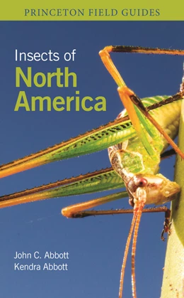 Abbildung von Abbott | Insects of North America | 1. Auflage | 2023 | beck-shop.de